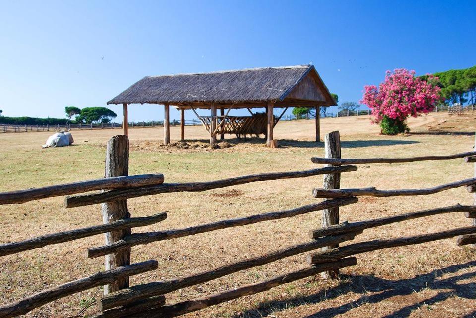 Villa Nik Fažana Esterno foto
