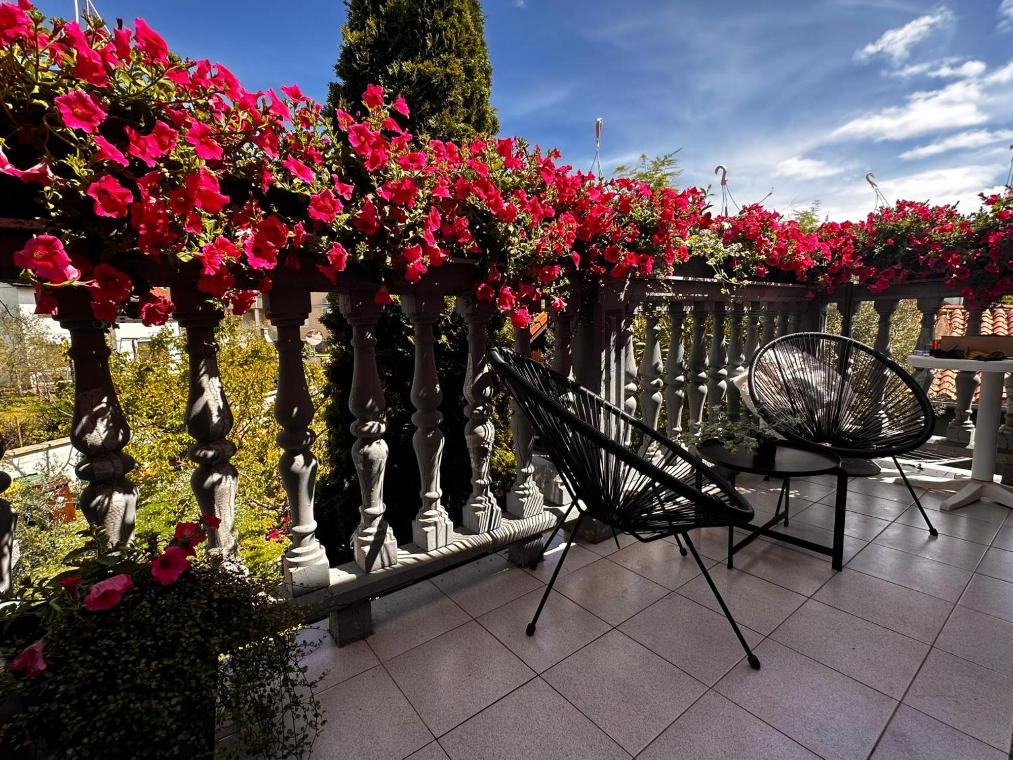 Villa Nik Fažana Esterno foto
